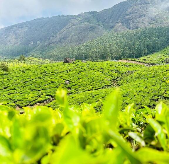 酒店 Green Holidayhome