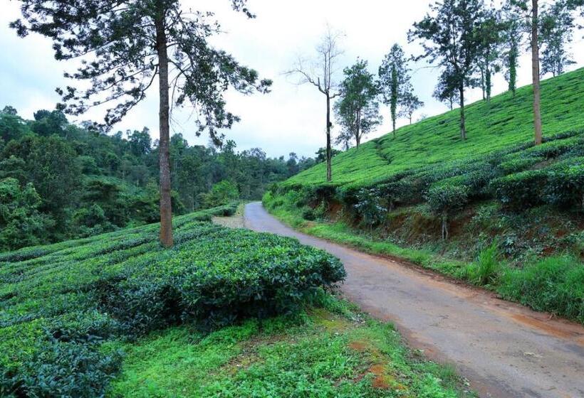 酒店 Green Holidayhome