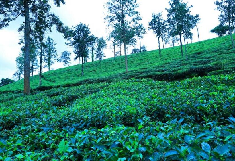 酒店 Green Holidayhome