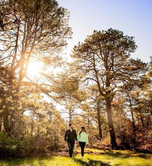 酒店 Hacienda Don Armando Boutique & Spa