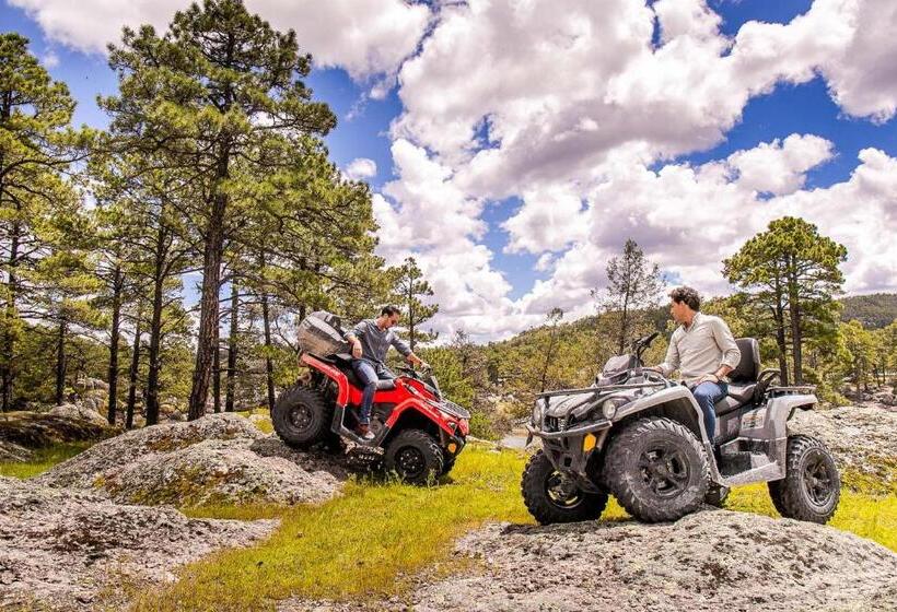 酒店 Hacienda Don Armando Boutique & Spa