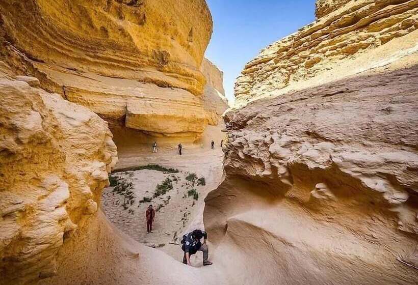 هتل Hostal Macacona