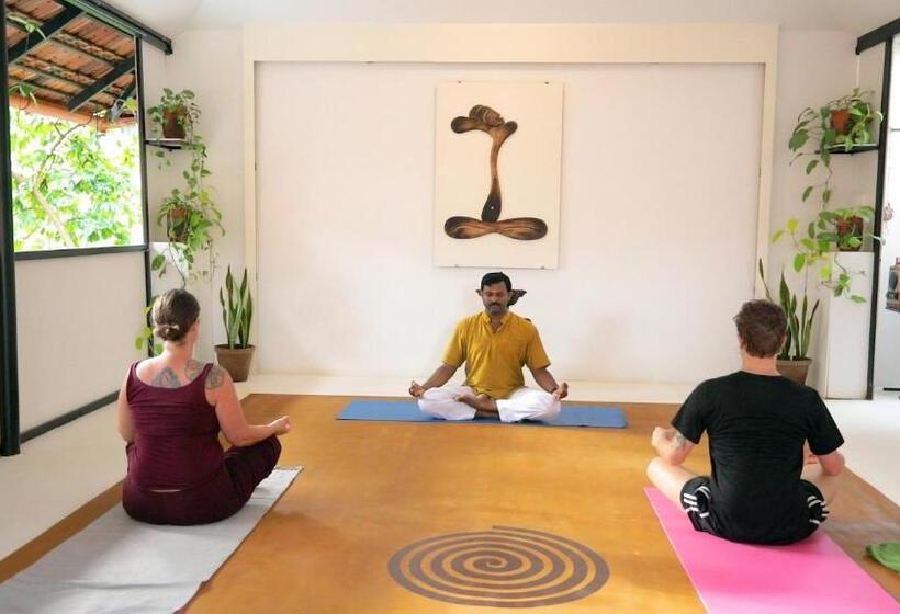 酒店 Munkudil Ayurveda & Yoga Retreat