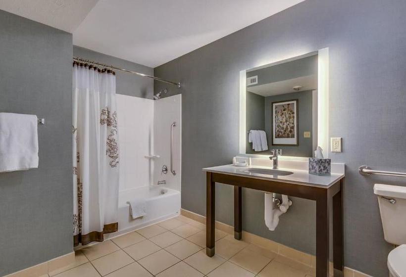 Отель Vivo South Bend