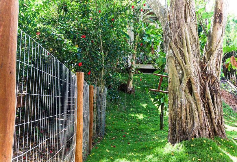 פנסיון Campos Elísios Boipeba