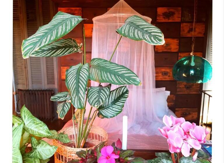 Bed and Breakfast La Verdosa