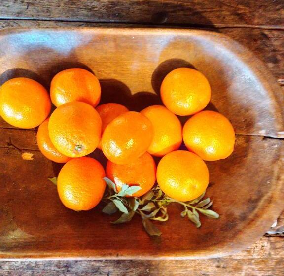 Bed and Breakfast La Verdosa