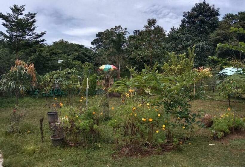 בית מלון כפרי Apka Ecovillage