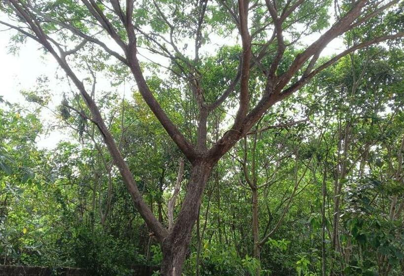 בית מלון כפרי Apka Ecovillage