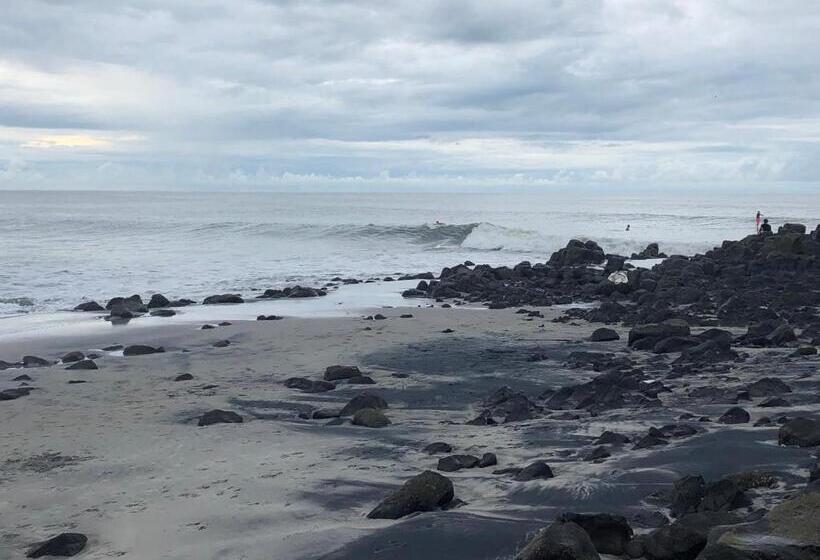 فندق Casa Swell Coronado A Unique Blend Of Luxury And Nature In The Hearth Of Coronado