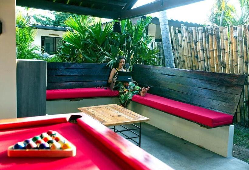 فندق Casa Swell Coronado A Unique Blend Of Luxury And Nature In The Hearth Of Coronado