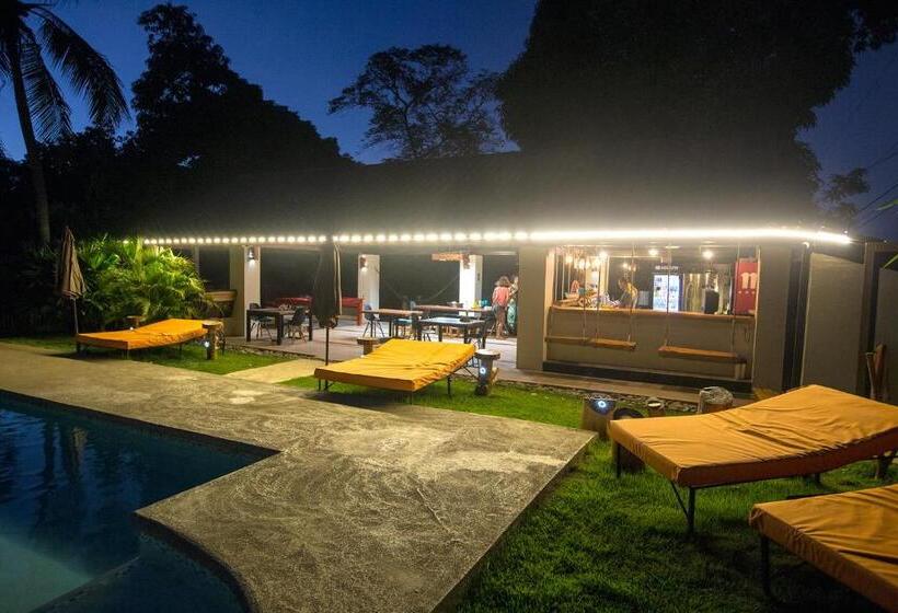 فندق Casa Swell Coronado A Unique Blend Of Luxury And Nature In The Hearth Of Coronado