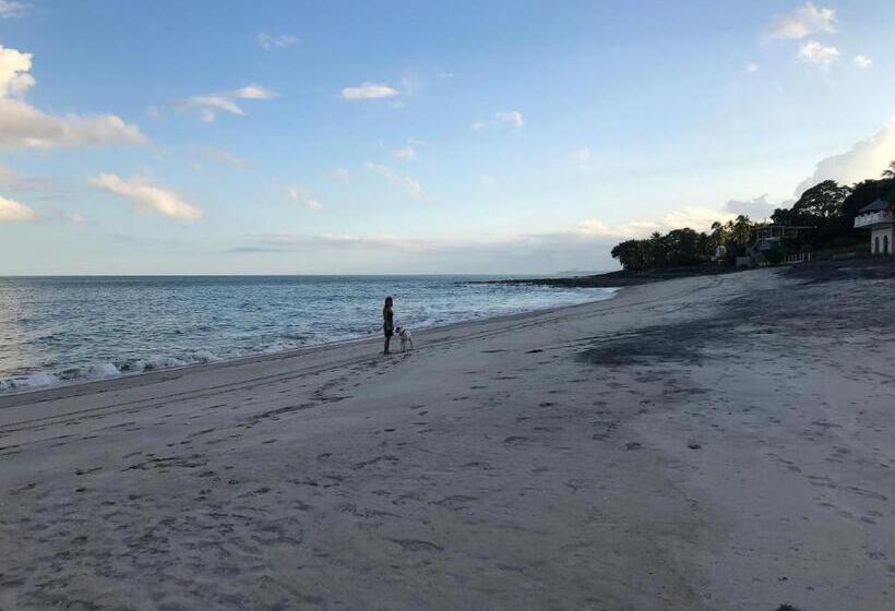 فندق Casa Swell Coronado A Unique Blend Of Luxury And Nature In The Hearth Of Coronado