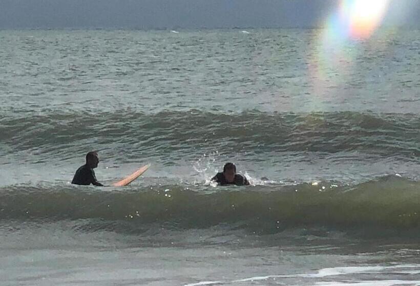 فندق Casa Swell Coronado A Unique Blend Of Luxury And Nature In The Hearth Of Coronado