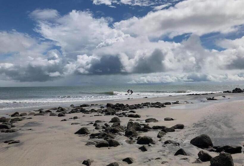 فندق Casa Swell Coronado A Unique Blend Of Luxury And Nature In The Hearth Of Coronado