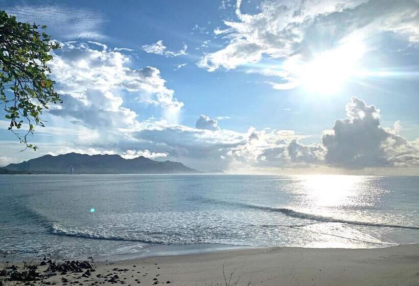 فندق Casa Swell Coronado A Unique Blend Of Luxury And Nature In The Hearth Of Coronado