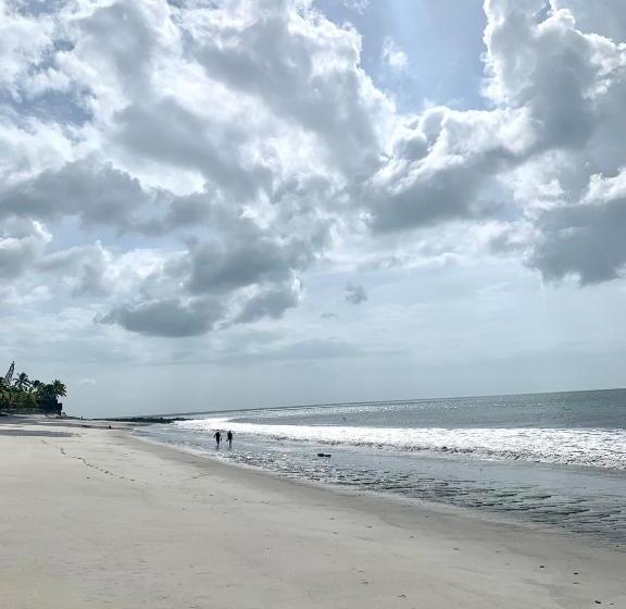 فندق Casa Swell Coronado A Unique Blend Of Luxury And Nature In The Hearth Of Coronado