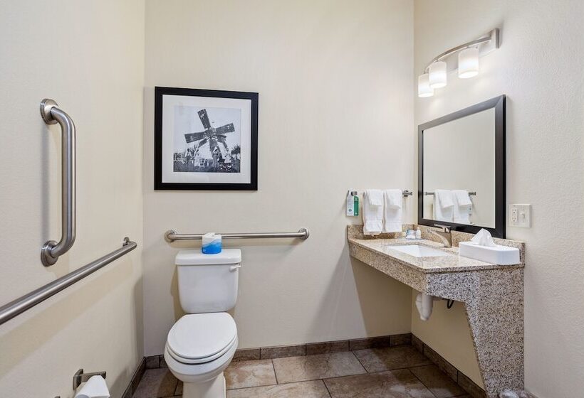 Cobblestone Hotel & Suites   Little Chute