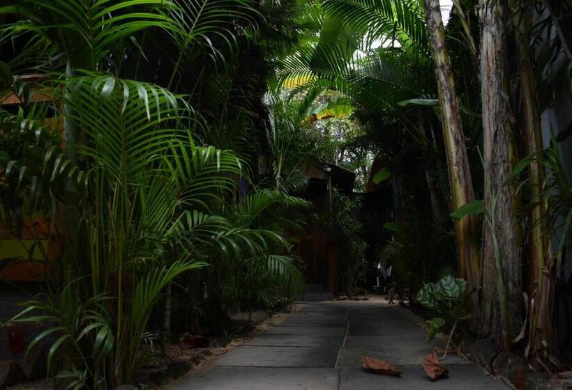 בית מלון כפרי Hare S Bar And Restaurant