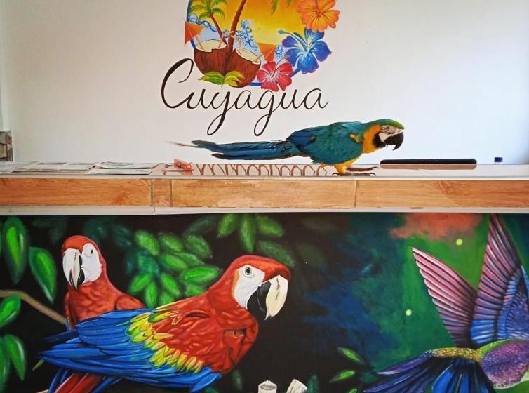 בית מלון כפרי Hostal Cuyagua