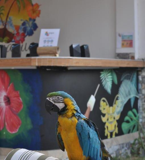 בית מלון כפרי Hostal Cuyagua