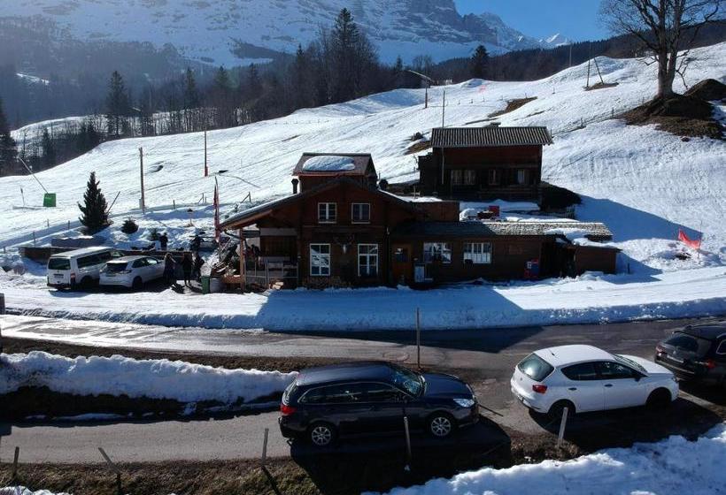 酒店 Jägerstübli Grindelwald