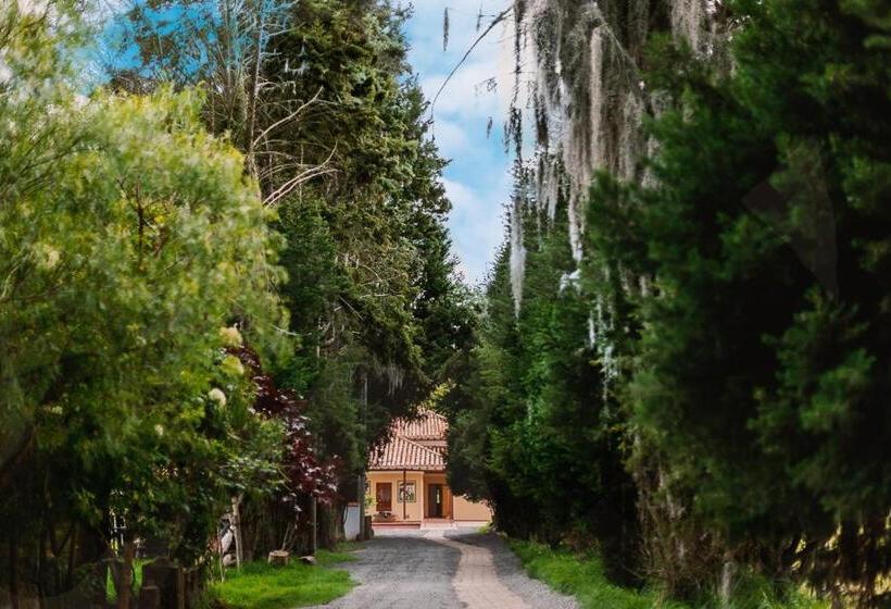 هتل Marquesa De Pinares