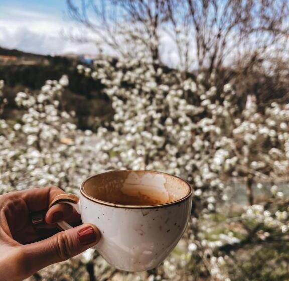 호텔 Paxlava Guesthouse & Restaurant