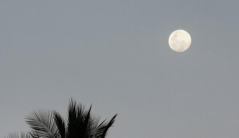 فندق Ritmo Tropical   Pool And Breakfast