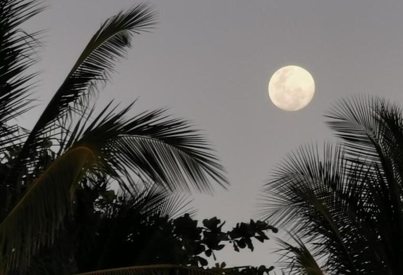 فندق Ritmo Tropical   Pool And Breakfast