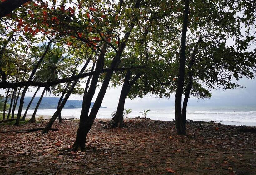 فندق Ritmo Tropical   Pool And Breakfast