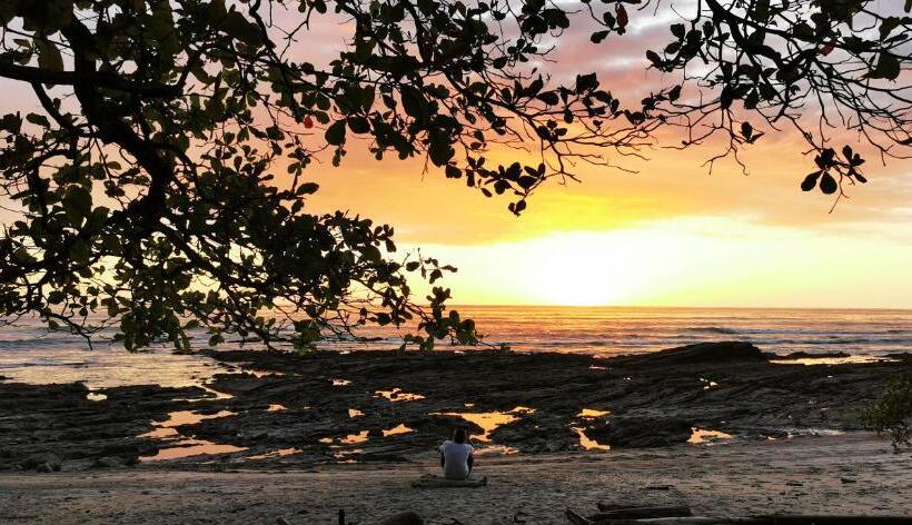 فندق Ritmo Tropical   Pool And Breakfast