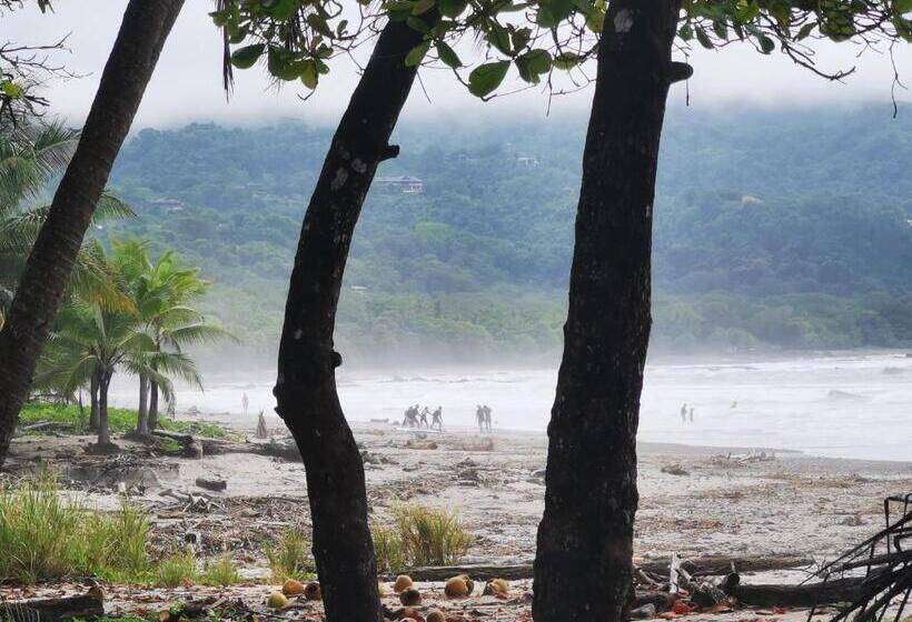 فندق Ritmo Tropical   Pool And Breakfast