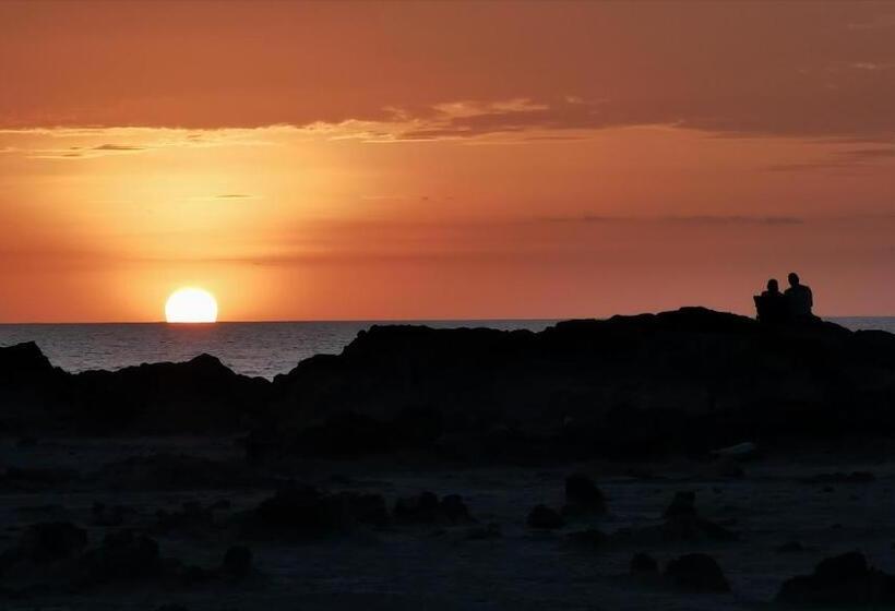 فندق Ritmo Tropical   Pool And Breakfast