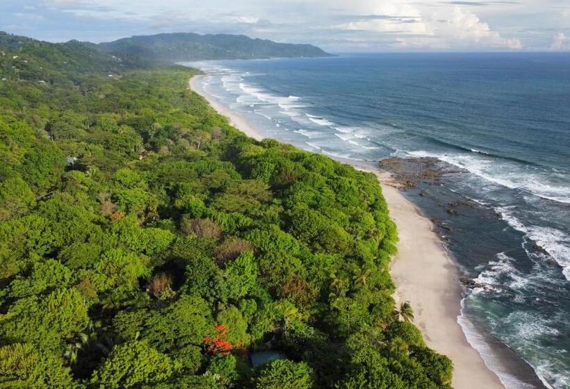 فندق Ritmo Tropical   Pool And Breakfast