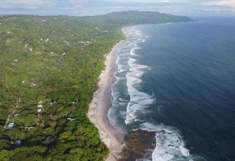 فندق Ritmo Tropical   Pool And Breakfast