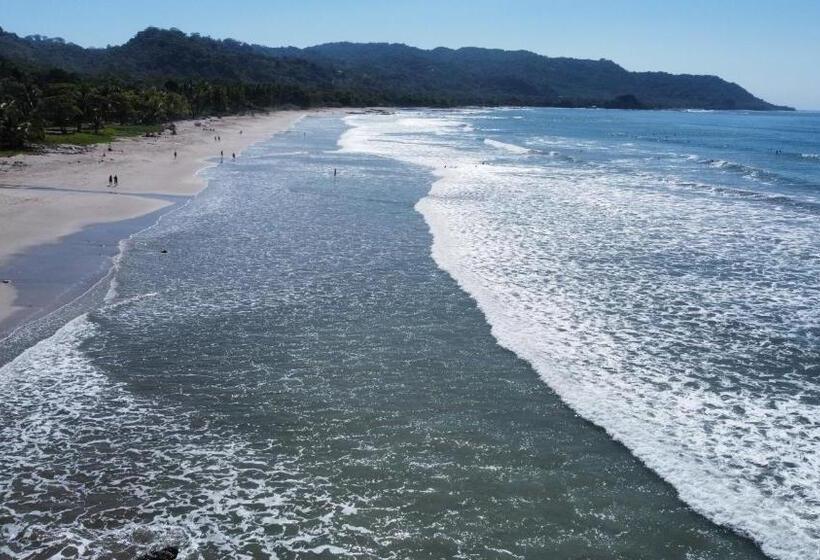 فندق Ritmo Tropical   Pool And Breakfast