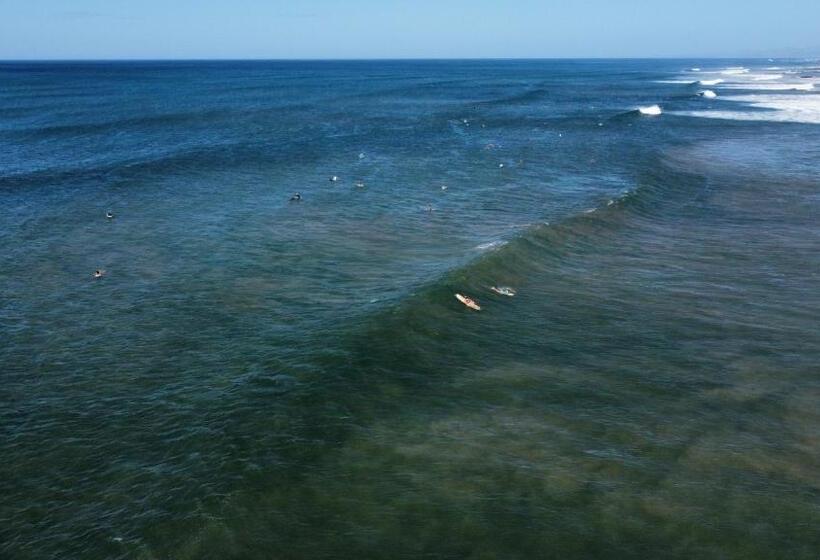 فندق Ritmo Tropical   Pool And Breakfast