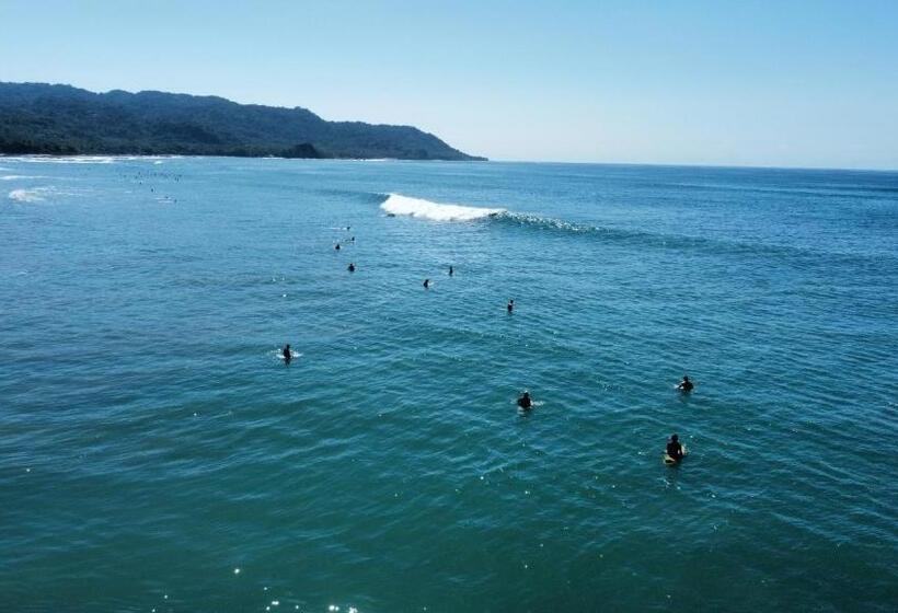 فندق Ritmo Tropical   Pool And Breakfast