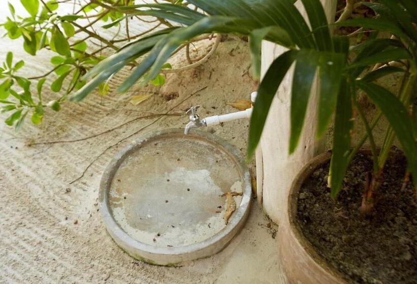 هتل Roc Luxe Tulum