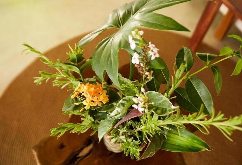 هتل Roc Luxe Tulum