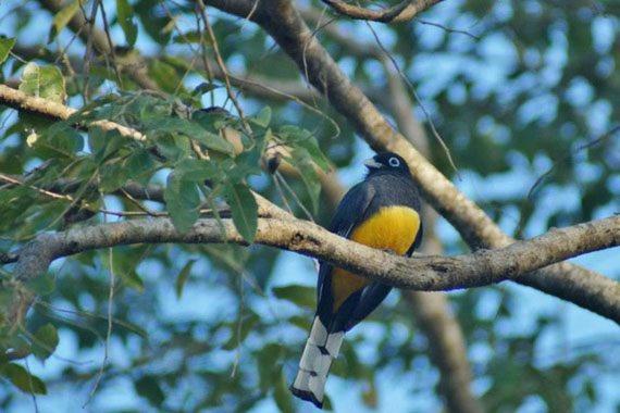 La Puesta Del Sol B&b