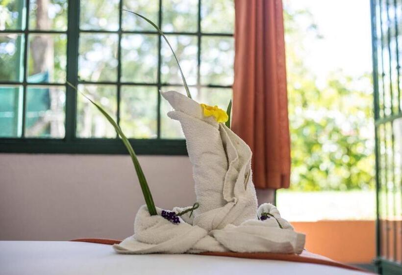 La Puesta Del Sol B&b