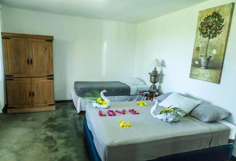 La Puesta Del Sol B&b