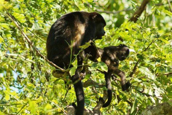 La Puesta Del Sol B&b