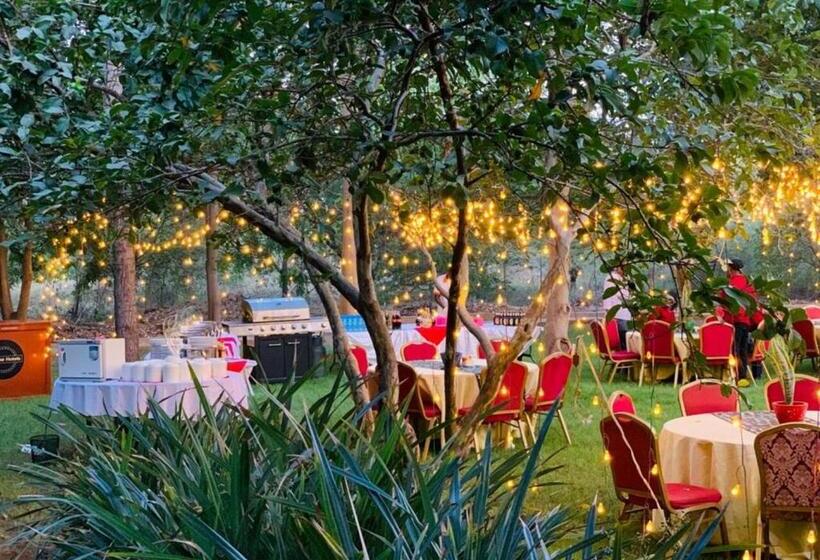 Panone Hotels   King Ori Kilimanjaro Airport