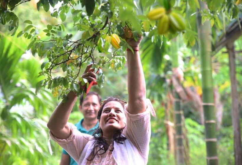 Parkresort Organic Farm Resort