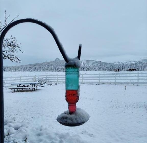 Пансион Applinger Farm