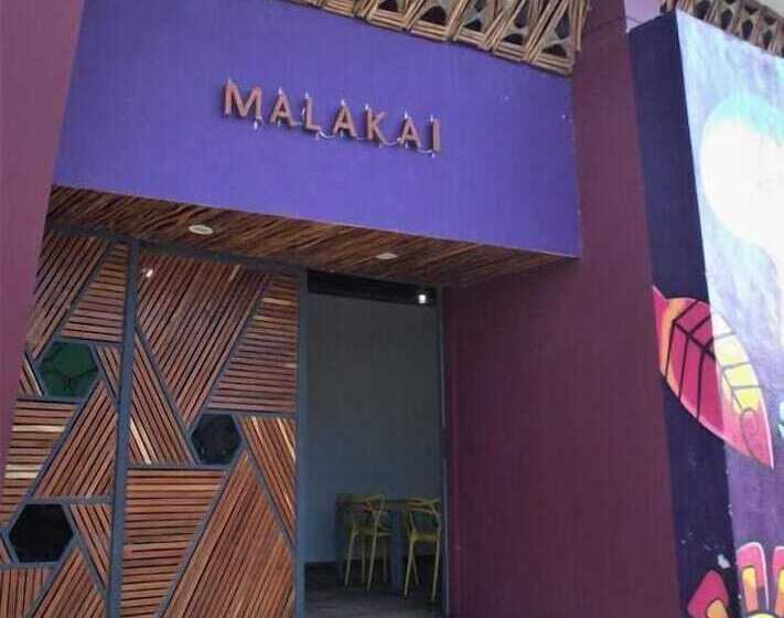 پانسیون Hostal Malakai Cabanas & Dorms