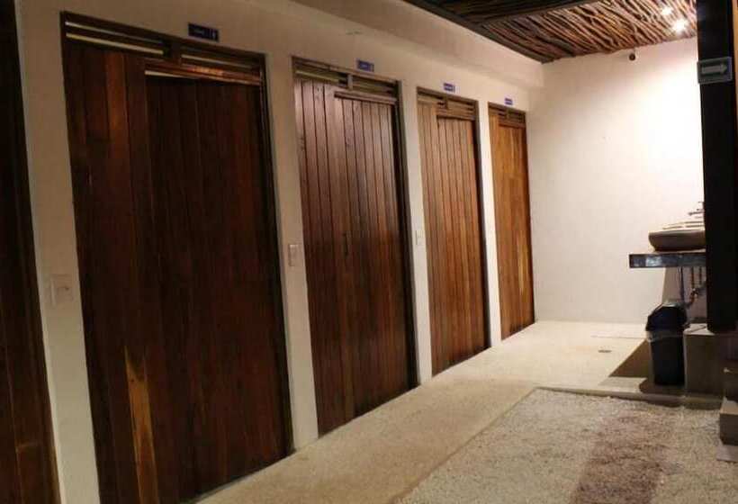 پانسیون Hostal Malakai Cabanas & Dorms